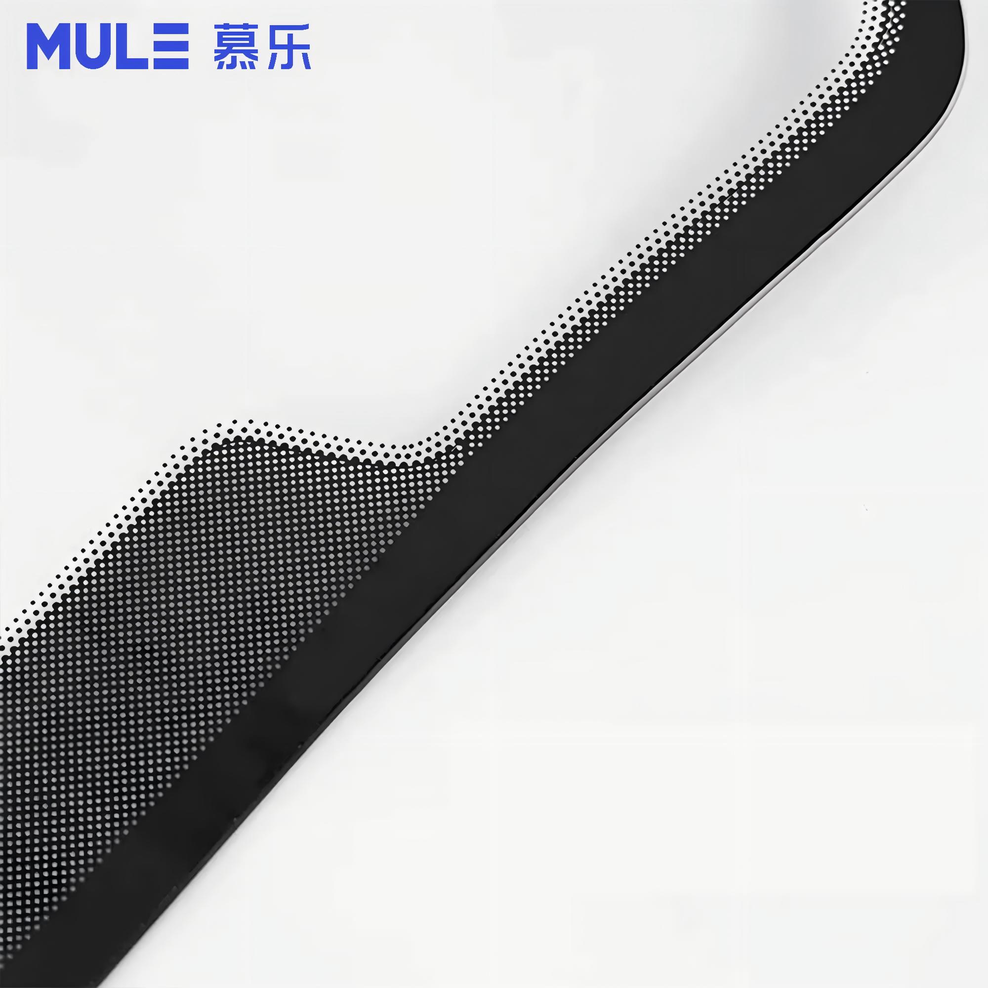 Car Glass Display Model with S - Glass Protector Auto review and price